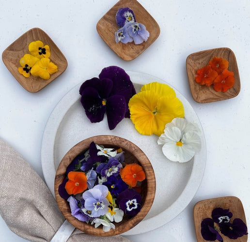 10 Awesome Edible Flowers to Add Color and Flavor to Your Salads