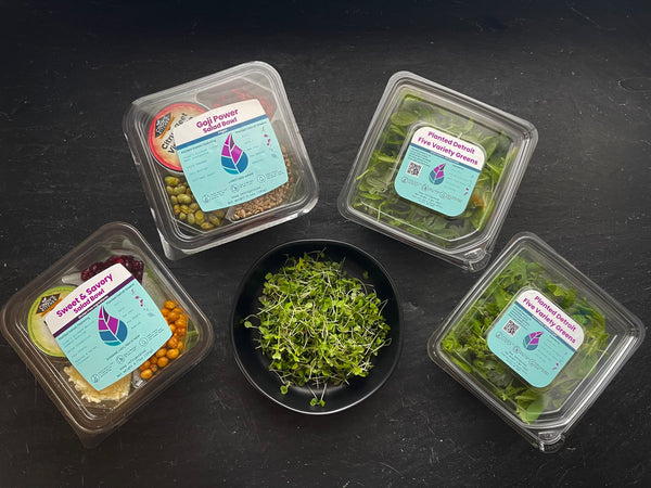 Kit De Germination Microgreens LUVCOSY - 6 Plateaux Avec Dôme Humidité Et Grands Trous 3mm