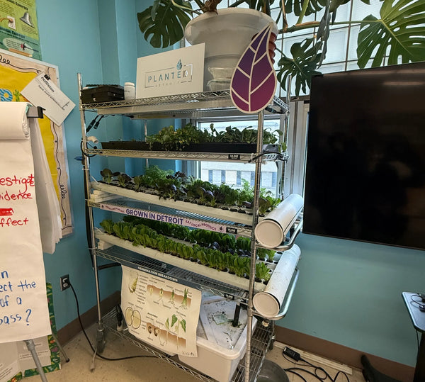 Educational Partnerships