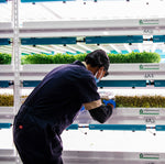 Additive, Not Extractive: How Vertical Farming Fits into the Future of Agriculture