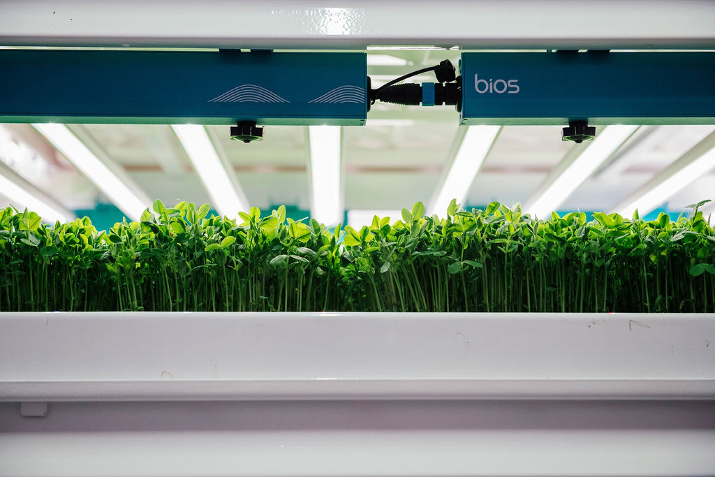 Light Types & Plant Growth Planted Detroit