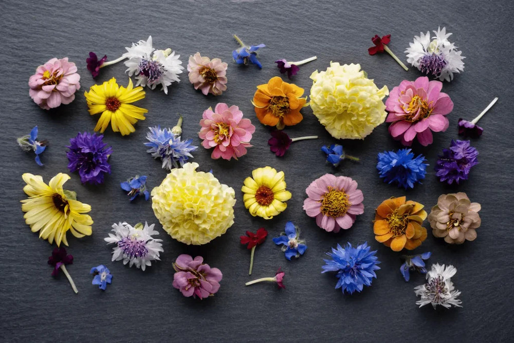 Behind the Scenes: Growing Edible Flowers at Scale