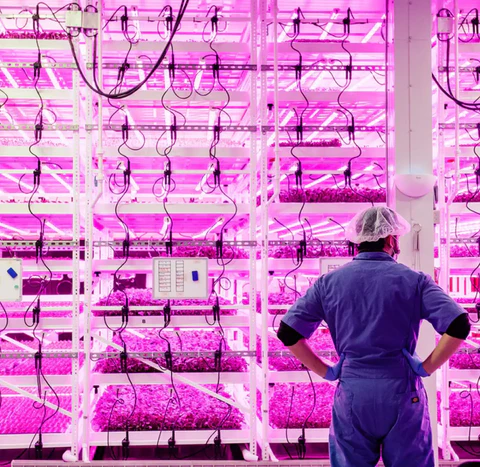 Additive, Not Extractive: How Vertical Farming Fits Into The Future Of Agriculture