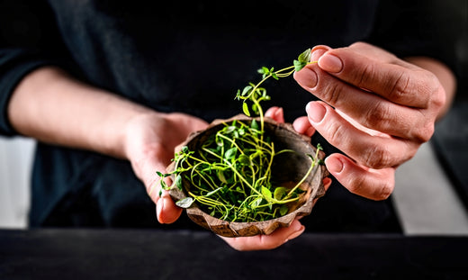 15 Creative Ways to Incorporate Microgreens into Your Meals