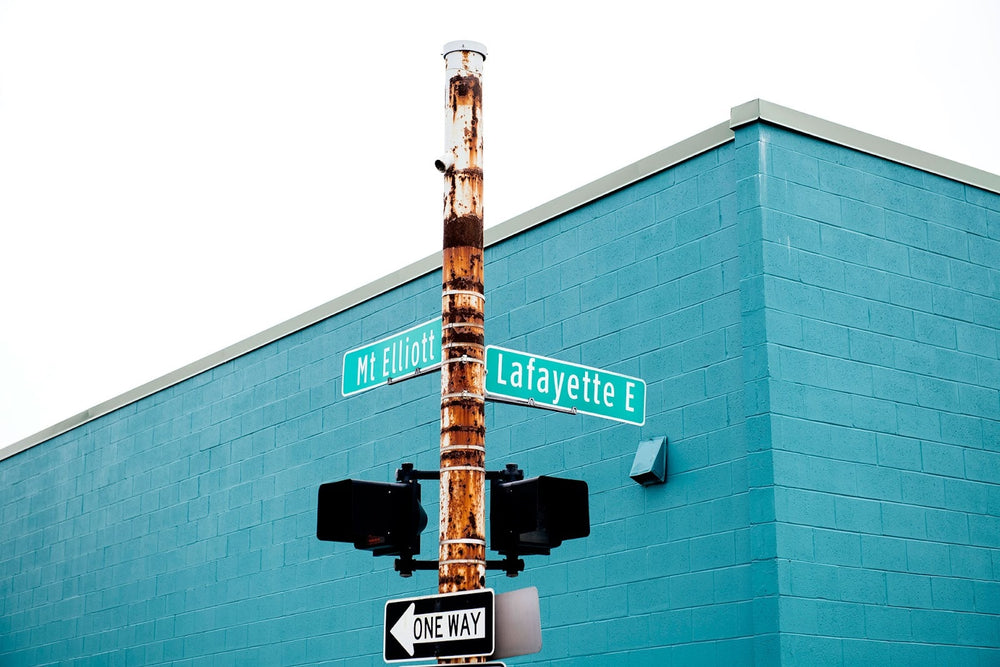 How Hydroponic Farming Is Changing the Way Detroit Eats