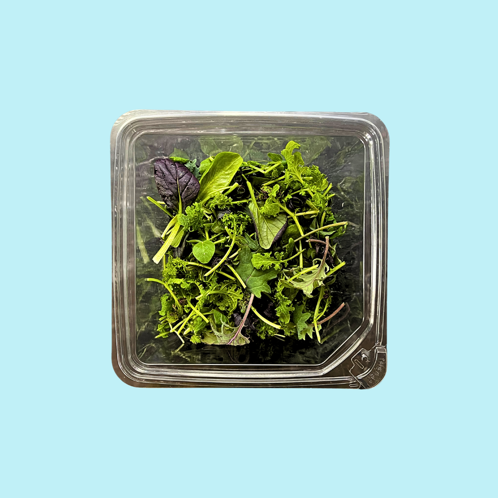 Sweet Basil Salad Bowl