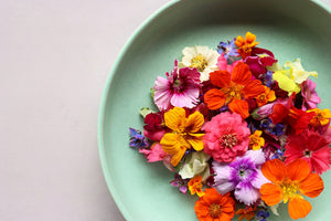 Wholesale Edible Flowers Mix