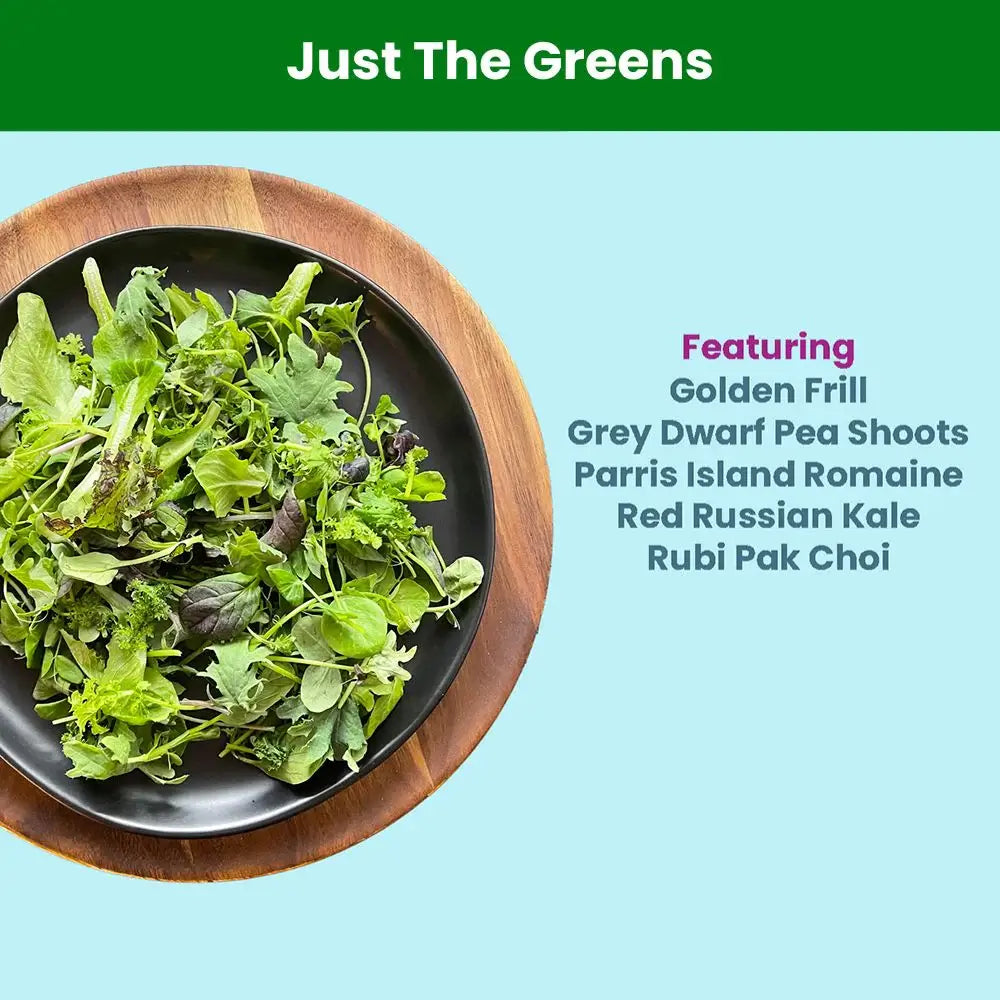 Fresh Garden Mix microgreens add-on in a clear container, featuring a colorful blend of nutrient-rich greens grown indoors in Detroit without pesticides or herbicides.