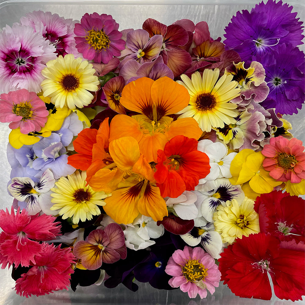 25 Count Edible Flower Mix