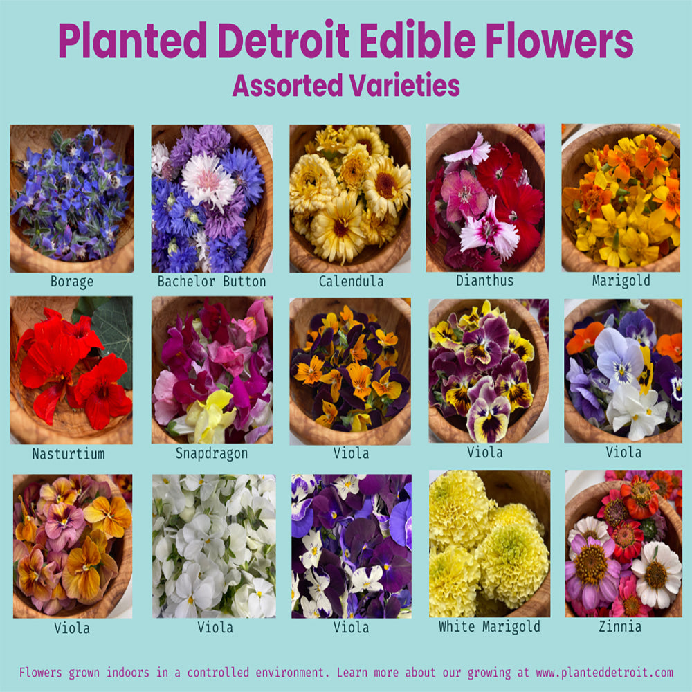 25 Count Edible Flower Mix
